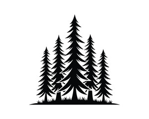 Fototapeta premium Pine Tree Forest Silhouette