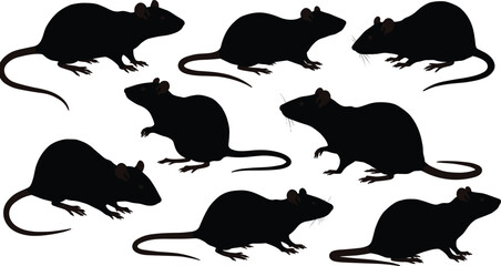 Rat silhouettes in various poses, black rodent vector, animal behavior illustration, pest control design, natural stance, tail, ears, feet