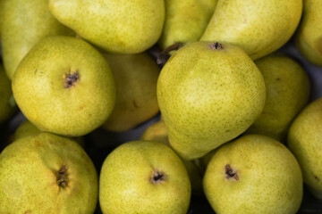 Fresh green pears piled together in a fruit section of local grocery store