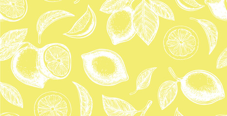 Lemons print, simple sketch style vector background