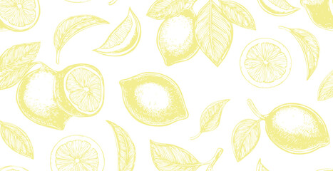 Lemons print, simple sketch style vector background
