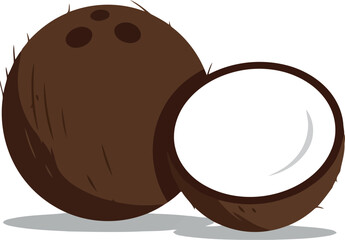 Whole and halved coconut tropical fruit illustration