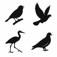 Fototapeta premium Silhouettes of Various Birds in Black and White
