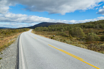 Obraz premium Straight road through the Dovrefjell nationalpark in Norway