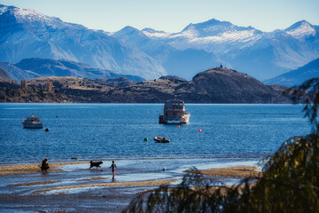 Scenic beach day at Lake Wanaka with visitors and dogs enjoying the outdoors in New Zealand