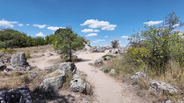 Summer view of rock formation Pobiti Kamani (Upright Stones), Varna region, Bulgaria