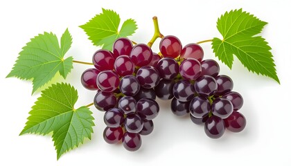 Fototapeta premium Bunch of fresh red grapes with green leaf isolated on white background