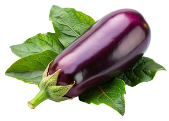 Eggplant with leaves isolated on white background