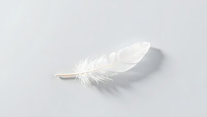 Obraz premium Isolated white feather with soft shadow on light gray background, minimal and elegant composition