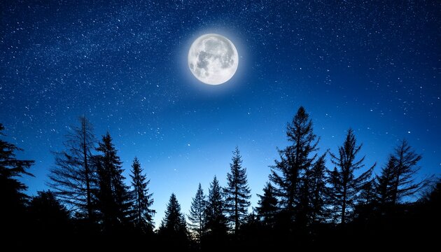 full moon glowing among twinkling stars above a silhouette of pine trees under a clear blue night sky background