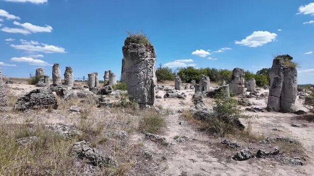 Summer view of rock formation Pobiti Kamani (Upright Stones), Varna region, Bulgaria