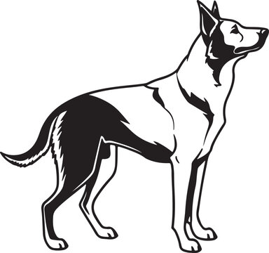 Drever dog vector art silhouette image
