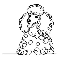  Poodle Line Art