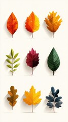 Colorful collection of autumn leaves arranged in a grid showcasing different shapes and colors