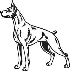 Fototapeta premium Drever dog vector art silhouette image