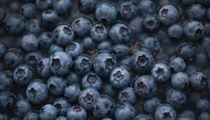 Close-up of blueberries floating underwater. Dark water, abstract blue color, small berries creating wallpaper pattern. Bubbles surrounding ripe fruits. Healthy, fresh, beautiful nature design,