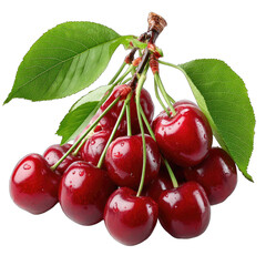 A cluster of ripe red cherries, attached to a stem with green leaves