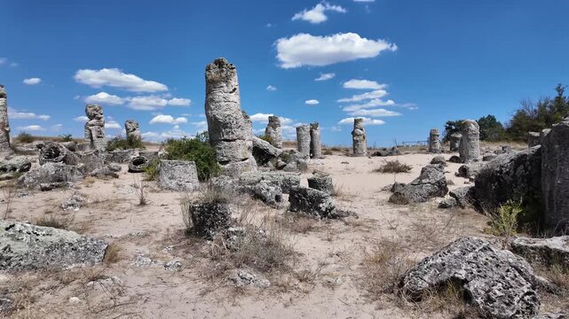Summer view of rock formation Pobiti Kamani (Upright Stones), Varna region, Bulgaria