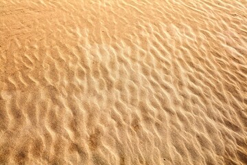 Texture of sand. Desert sand background. Morocco desert abstract texture.