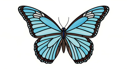 butterfly on white background