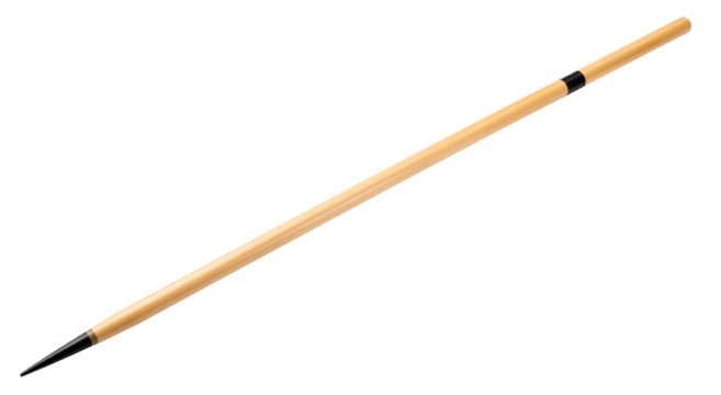 a javelin pilum spear plural spilla isolated on white background