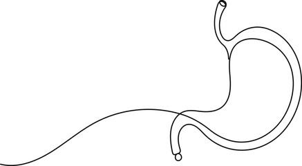 Human stomach icon continuous one line drawing for anatomy and medical design concepts