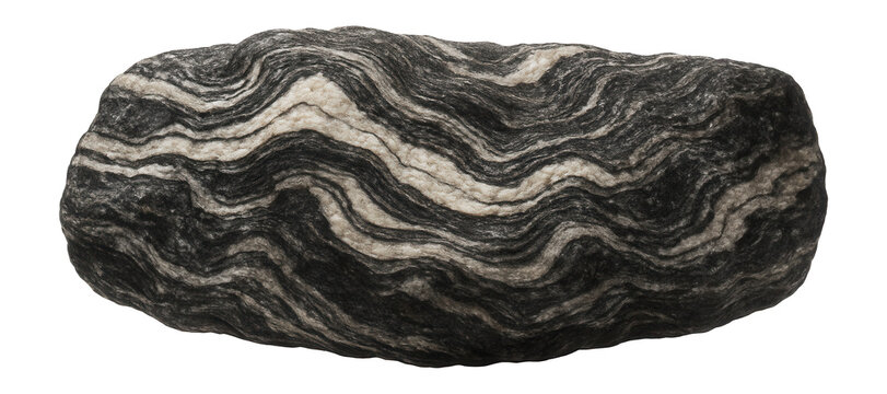 Migmatite rock exhibiting swirled patterns of light and dark minerals