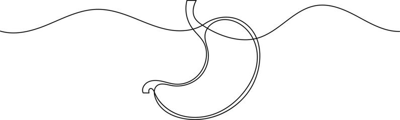 Human stomach icon continuous one line drawing for anatomy and medical design concepts