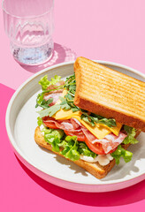 Club sandwich of toast bread with bacon, cheese, tomatoes, lettuce, arugula and sauce in a plate