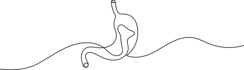 Human stomach icon continuous one line drawing for anatomy and medical design concepts
