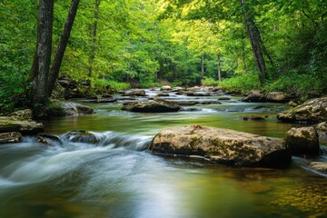 Obraz premium A river flowing through a lush green forest area