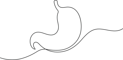 Human stomach icon continuous one line drawing for anatomy and medical design concepts