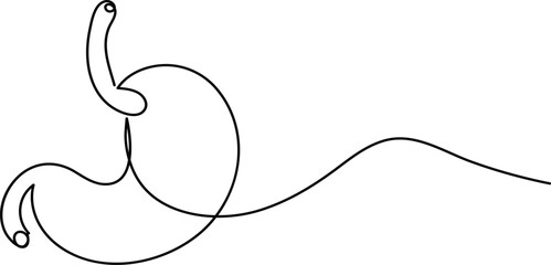 Human stomach icon continuous one line drawing for anatomy and medical design concepts