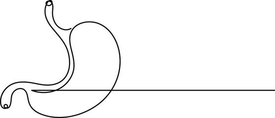 Human stomach icon continuous one line drawing for anatomy and medical design concepts