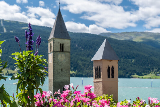 Blumen vor versunkenem Kirchturm im Reschensee in S&uuml;dtirol
