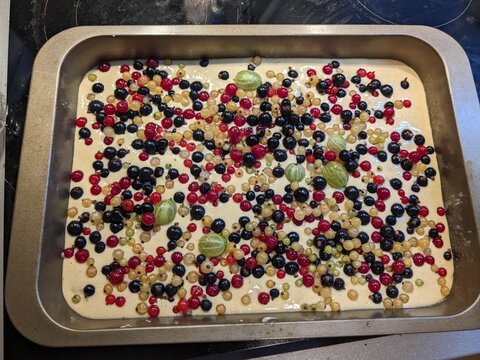 Traditional ovocna kynuta buchta in baking tray topped with gooseberries and black and red currants ready for oven baking, a classic Czech fruit dessert