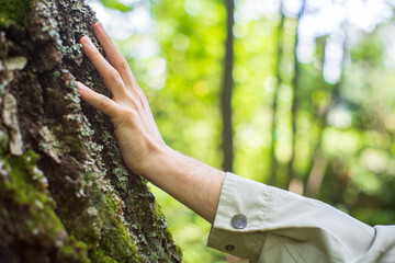 Man gently touching a tree trunk close-up. Bark wood. Connection with nature. Ecology, environmental care, love for the planet.