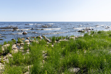 Peaceful Coastal Landscape with Clear Blue Sky and Rocky Shoreline