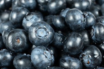 Fresh blueberries close-up, berry background