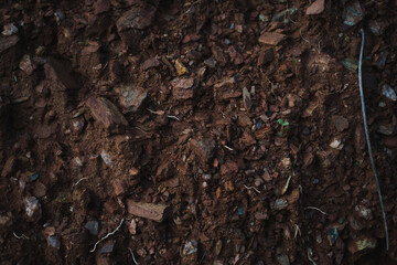 soil in the blackground