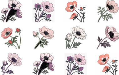 Bundle of 12 Colorful Botanical Flower Illustrations – Vintage Floral Clipart Set for Print, Design, and Digital Art Projects