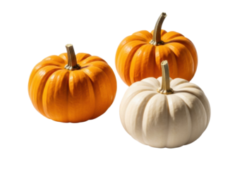 Three miniature orange and creamy white pumpkins, ribbed textures, smooth skin, on pristine transparent background with soft shadows, ultra-photorealistic still life. Autumn harvest concept