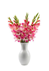 A pristine, elegant white ceramic vase holds a lush, vibrant bouquet of pink and white gladiolus flowers with distinct petals and green stems, against a seamless transparent studio background with