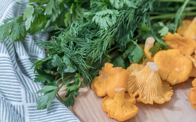 Fresh chanterelle mushrooms with parsley and dill on wooden board

