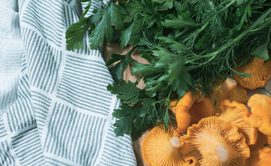 Fototapeta premium Fresh parsley with chanterelle mushrooms and kitchen towel background