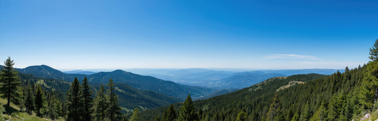 Obraz premium Scenic mountain panorama with pine trees under clear blue sky. Landscape features mountain range, valley, green forest in summer. Vacation, travel adventure, hiking, wanderlust and nature concepts.