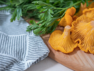 Fresh chanterelle mushrooms with parsley and dill on wooden board

