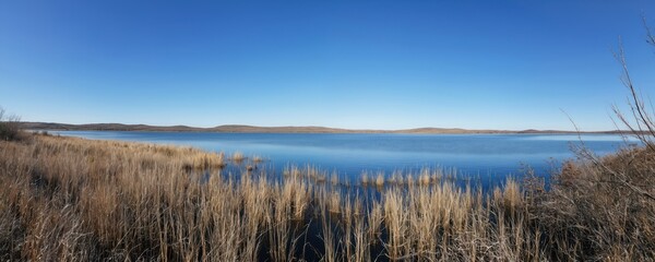 Fototapeta premium Panoramic view of calm blue lake and clear blue sky. Dry grass foreground adds contrast. Serene natural landscape, reflecting nature calm mood. Quiet day on lakeshore, perfect destination vacation.