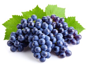 Fototapeta premium Fresh, plump purple grapes with leaves