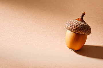 どんぐりのミニマル背景素材.Generative AI